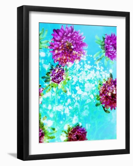 Composing of Mauve Blossoms in Blue Water with White Flowering Branches-Alaya Gadeh-Framed Photographic Print