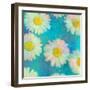 Composing of White Daisies on Blue Background-Alaya Gadeh-Framed Photographic Print