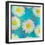 Composing of White Daisies on Blue Background-Alaya Gadeh-Framed Photographic Print