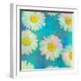 Composing of White Daisies on Blue Background-Alaya Gadeh-Framed Photographic Print