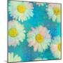 Composing of White Daisies on Blue Background-Alaya Gadeh-Mounted Photographic Print