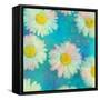 Composing of White Daisies on Blue Background-Alaya Gadeh-Framed Stretched Canvas