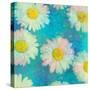 Composing of White Daisies on Blue Background-Alaya Gadeh-Stretched Canvas