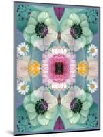 Composing, Symmetrical Arrangement of Flowers in Pastel Shades-Alaya Gadeh-Mounted Photographic Print