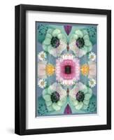 Composing, Symmetrical Arrangement of Flowers in Pastel Shades-Alaya Gadeh-Framed Premium Photographic Print