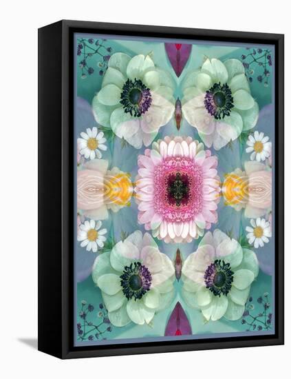 Composing, Symmetrical Arrangement of Flowers in Pastel Shades-Alaya Gadeh-Framed Stretched Canvas