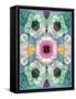 Composing, Symmetrical Arrangement of Flowers in Pastel Shades-Alaya Gadeh-Framed Stretched Canvas