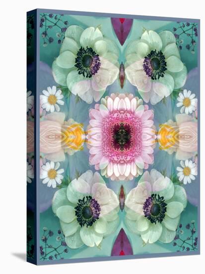 Composing, Symmetrical Arrangement of Flowers in Pastel Shades-Alaya Gadeh-Stretched Canvas