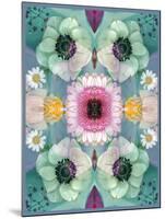 Composing, Symmetrical Arrangement of Flowers in Pastel Shades-Alaya Gadeh-Mounted Photographic Print