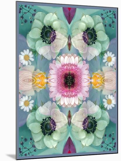 Composing, Symmetrical Arrangement of Flowers in Pastel Shades-Alaya Gadeh-Mounted Photographic Print