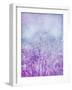 Composing, Trees, Layered with Texture and Paint in Violet and Blue-Alaya Gadeh-Framed Photographic Print