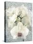 Composing, White Orchid Framed by Floral Pattern-Alaya Gadeh-Stretched Canvas