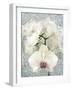 Composing, White Orchid Framed by Floral Pattern-Alaya Gadeh-Framed Photographic Print