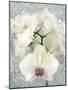 Composing, White Orchid Framed by Floral Pattern-Alaya Gadeh-Mounted Photographic Print