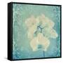 Composing, White Orchid Framed by Floral Pattern-Alaya Gadeh-Framed Stretched Canvas