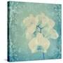 Composing, White Orchid Framed by Floral Pattern-Alaya Gadeh-Stretched Canvas