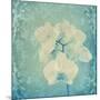 Composing, White Orchid Framed by Floral Pattern-Alaya Gadeh-Mounted Photographic Print