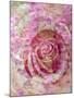 Composing, White Rose Layered with Pink Flower Texture-Alaya Gadeh-Mounted Photographic Print