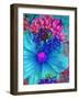 Composing with Blue and Pink Blossoms-Alaya Gadeh-Framed Photographic Print