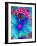 Composing with Blue and Pink Blossoms-Alaya Gadeh-Framed Photographic Print