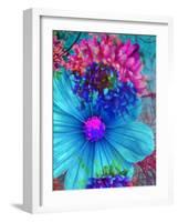 Composing with Blue and Pink Blossoms-Alaya Gadeh-Framed Photographic Print