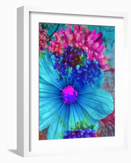 Composing with Blue and Pink Blossoms-Alaya Gadeh-Framed Photographic Print