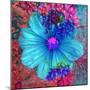 Composing with Blue Flowers-Alaya Gadeh-Mounted Photographic Print