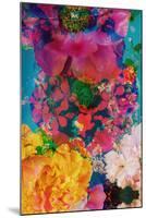 Composing with Coloured Blossoms in the Water-Alaya Gadeh-Mounted Premium Photographic Print