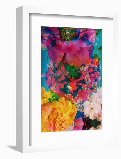 Composing with Coloured Blossoms in the Water-Alaya Gadeh-Framed Photographic Print