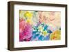 Composing with Coloured Blossoms-Alaya Gadeh-Framed Photographic Print