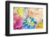 Composing with Coloured Blossoms-Alaya Gadeh-Framed Photographic Print