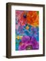 Composing with Coloured Blossoms-Alaya Gadeh-Framed Photographic Print