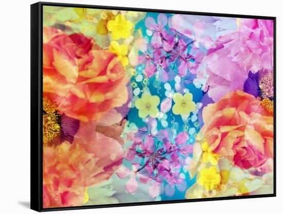 Composing with Coloured Blossoms-Alaya Gadeh-Framed Stretched Canvas