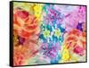 Composing with Coloured Blossoms-Alaya Gadeh-Framed Stretched Canvas