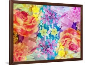 Composing with Coloured Blossoms-Alaya Gadeh-Framed Photographic Print