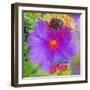 Composing with Coloured Blossoms-Alaya Gadeh-Framed Photographic Print