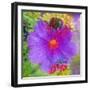 Composing with Coloured Blossoms-Alaya Gadeh-Framed Photographic Print