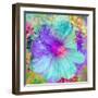 Composing with Coloured Blossoms-Alaya Gadeh-Framed Photographic Print