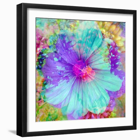 Composing with Coloured Blossoms-Alaya Gadeh-Framed Photographic Print