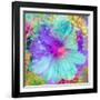 Composing with Coloured Blossoms-Alaya Gadeh-Framed Photographic Print