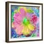 Composing with Coloured Blossoms-Alaya Gadeh-Framed Photographic Print