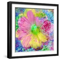 Composing with Coloured Blossoms-Alaya Gadeh-Framed Photographic Print