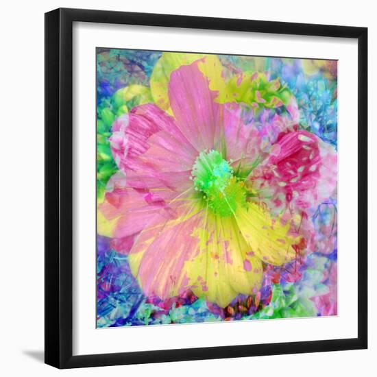 Composing with Coloured Blossoms-Alaya Gadeh-Framed Photographic Print