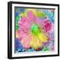 Composing with Coloured Blossoms-Alaya Gadeh-Framed Photographic Print