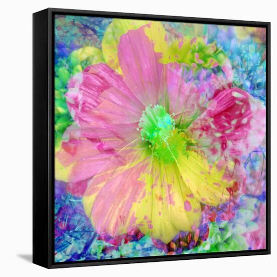 Composing with Coloured Blossoms-Alaya Gadeh-Framed Stretched Canvas