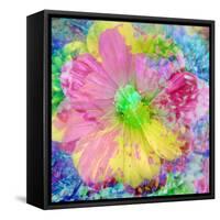 Composing with Coloured Blossoms-Alaya Gadeh-Framed Stretched Canvas