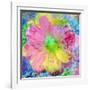 Composing with Coloured Blossoms-Alaya Gadeh-Framed Photographic Print