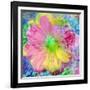 Composing with Coloured Blossoms-Alaya Gadeh-Framed Photographic Print