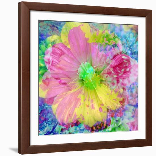 Composing with Coloured Blossoms-Alaya Gadeh-Framed Photographic Print