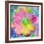 Composing with Coloured Blossoms-Alaya Gadeh-Framed Photographic Print